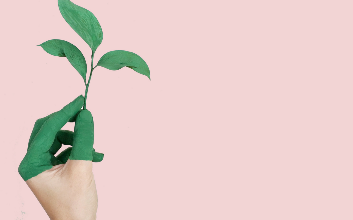 Reduce waste on your period - hand holding green leaves